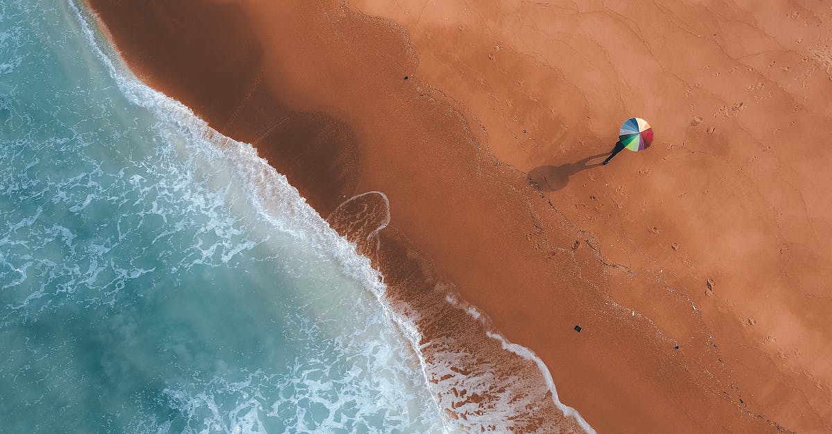 How to get livestock onto remote island in Minecraft? - Top view of empty clean coastline washed by wavy foamy ocean in rays of sun How to get livestock onto remote island in Minecraft? - Top view of empty clean coastline washed by wavy foamy ocean in rays of sun
