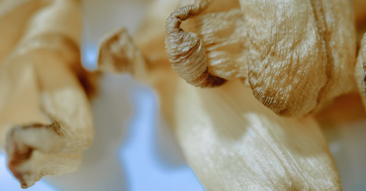 How to get Micro Mushrooms in Super Luigi U? - Free stock photo of baking, blur, christmas