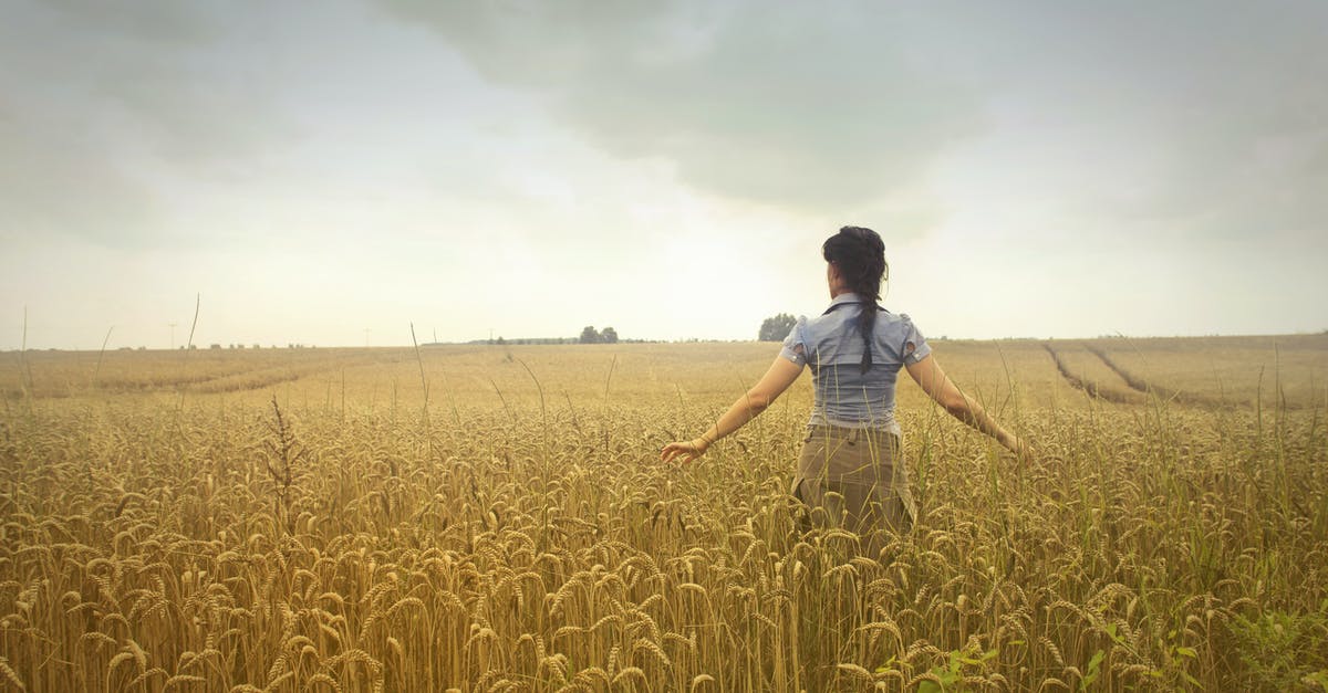 How to get my dwellers back in the shelter after exploring? - Woman Standing on Rice Field during Cloudy Day