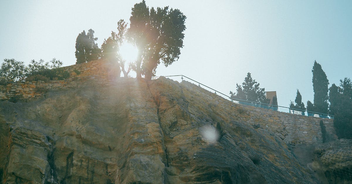 How to get on top of a platform with a thief's grappling hook? - Rocky formation with trees on top How to get on top of a platform with a thief's grappling hook? - Rocky formation with trees on top
