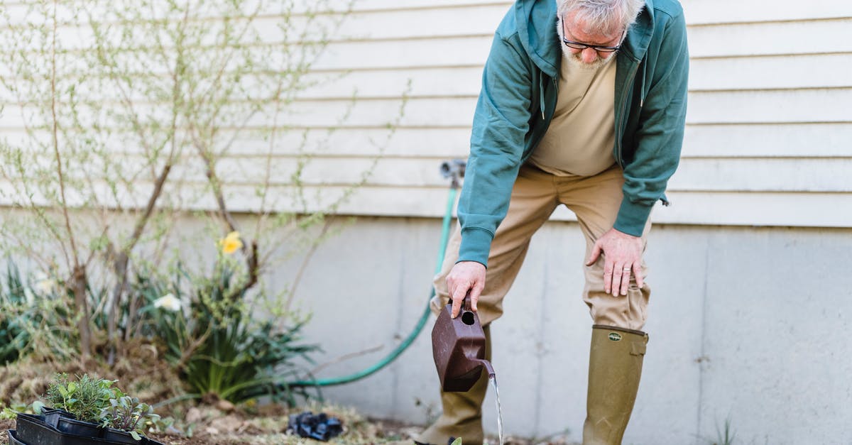 How to get past this old man in Leaf green? - Senior male farmer in gumboots standing with can and watering green sprouts against wall How to get past this old man in Leaf green? - Senior male farmer in gumboots standing with can and watering green sprouts against wall