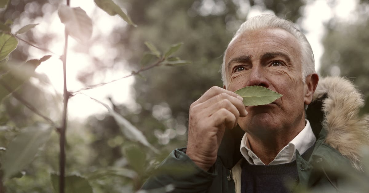 How to get past this old man in Leaf green? - Adult Man Smelling a Leaf How to get past this old man in Leaf green? - Adult Man Smelling a Leaf