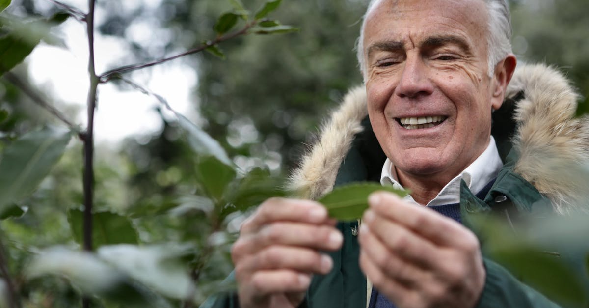 How to get past this old man in Leaf green? - Man in Green jacket Holding a Leaf How to get past this old man in Leaf green? - Man in Green jacket Holding a Leaf