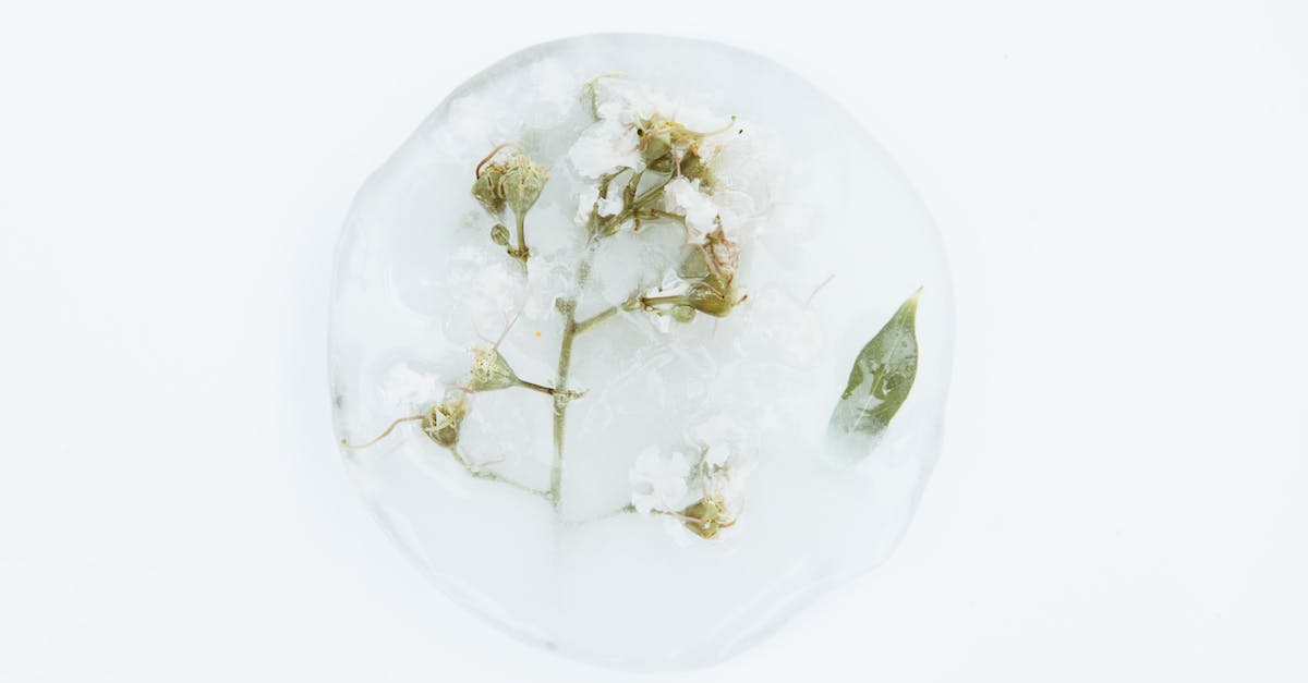 How to get the bomb flower past the ice turret in Lorule Castle - White Petaled Flower