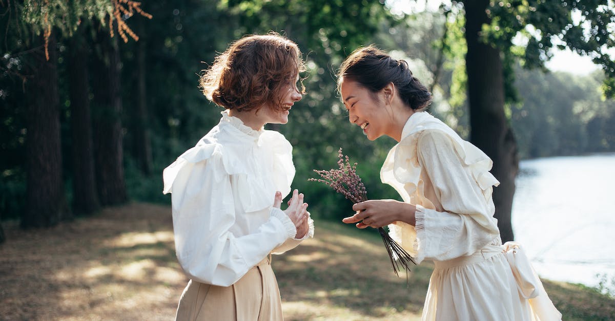 How to get the bomb flower past the ice turret in Lorule Castle - Smiling Women Standing Face to Face in Park