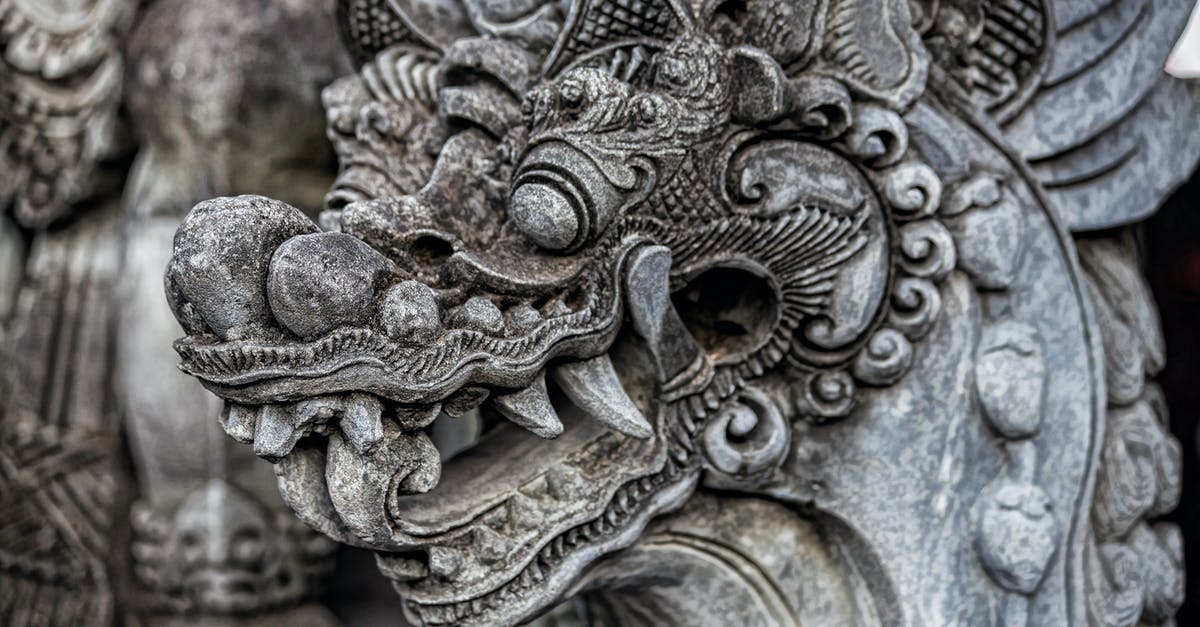 How to get the dragon to fight me - Grey and Brown Dragon Embossed Decor