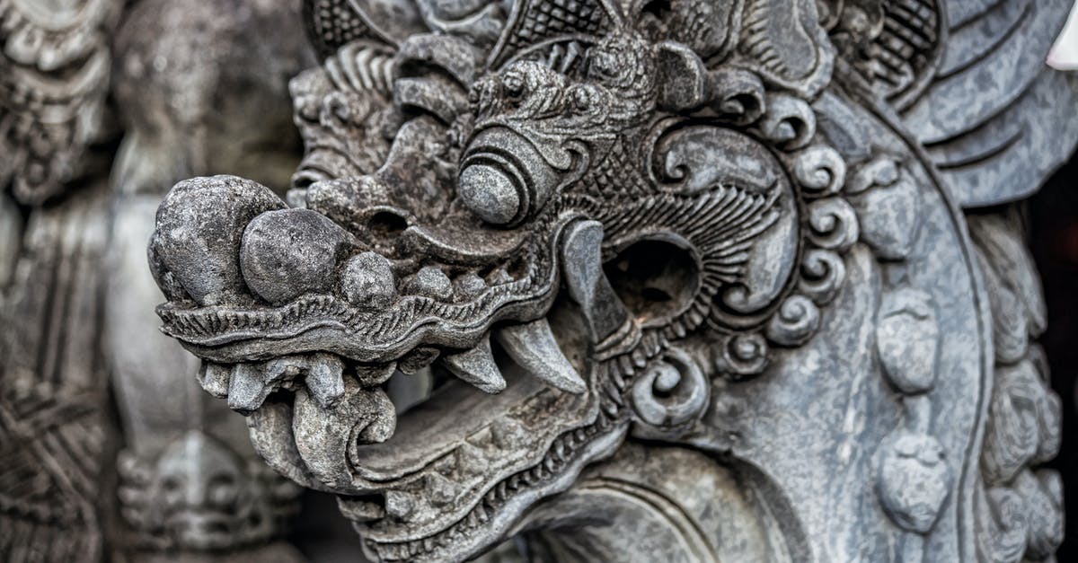 How to get the dragon to fight me - Grey and Brown Dragon Embossed Decor How to get the dragon to fight me - Grey and Brown Dragon Embossed Decor