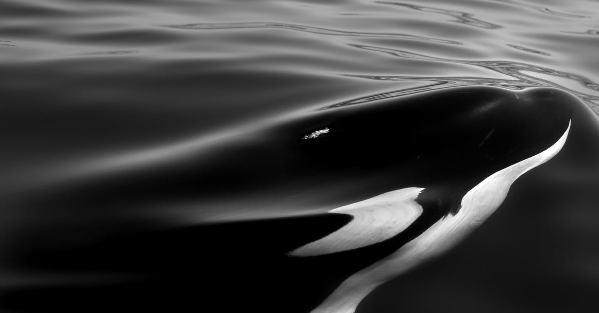 How to give a mob smooth custom motion in MCJE 1.16 - Grayscale Photo of Body of Water