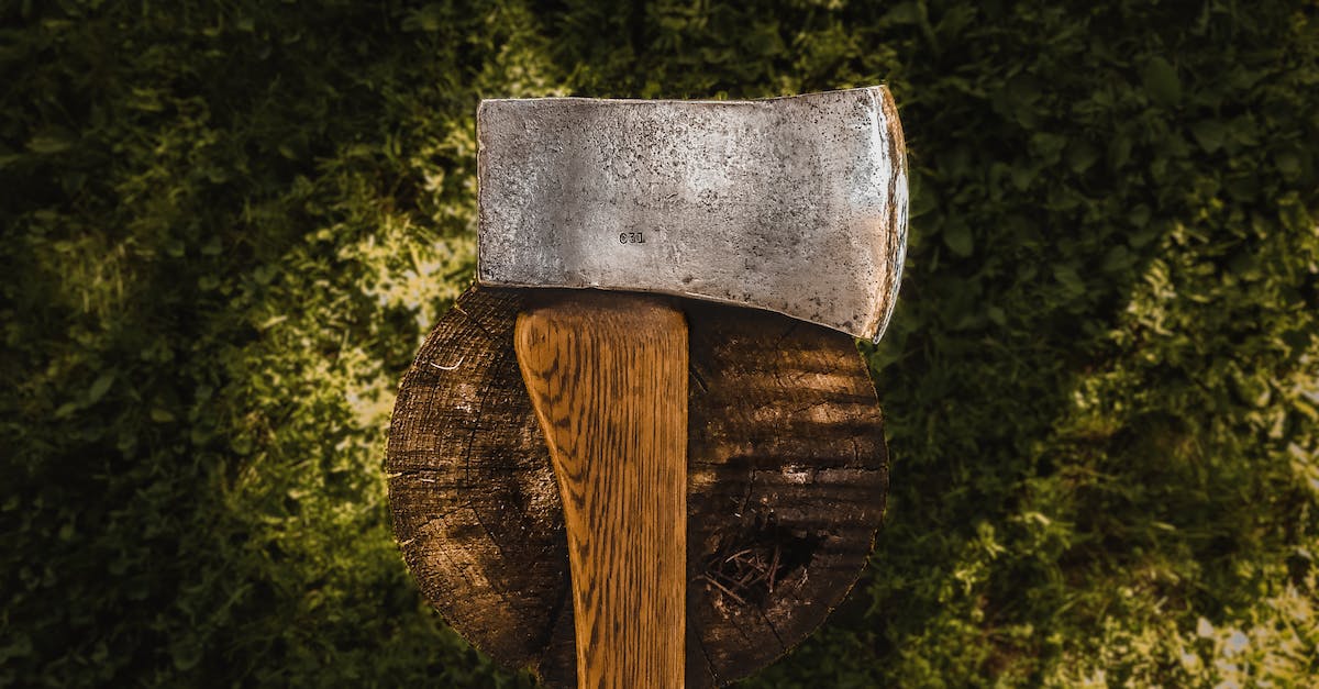 How to handle Axe when he has Blink dagger / invis + blademail? - Brown Hatchet on Log