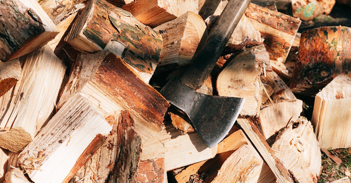 How to handle Axe when he has Blink dagger / invis + blademail? - Old rustic axe with wooden handle and sharp cutting point placed on firewoods in forest on sunny summer day
