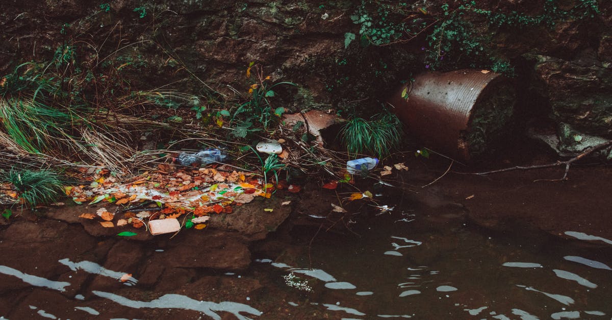 How to identify a polluted water source - Trash on Body of Water