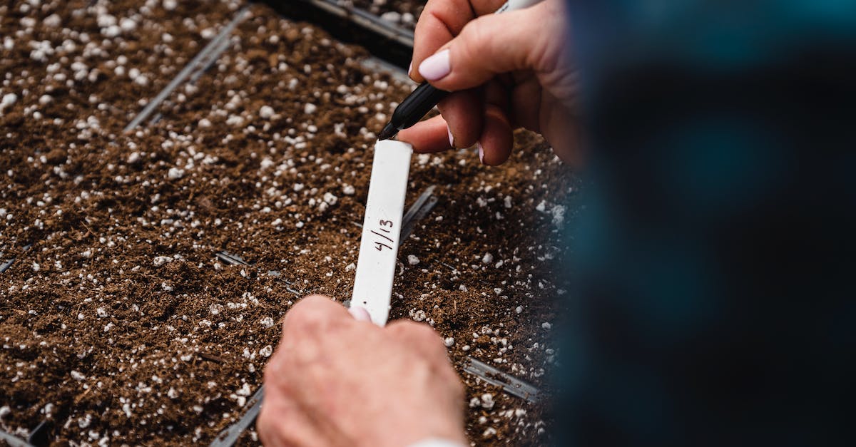 How to increase the number of farmers - Unrecognizable gardener writing note near planting seeds How to increase the number of farmers - Unrecognizable gardener writing note near planting seeds