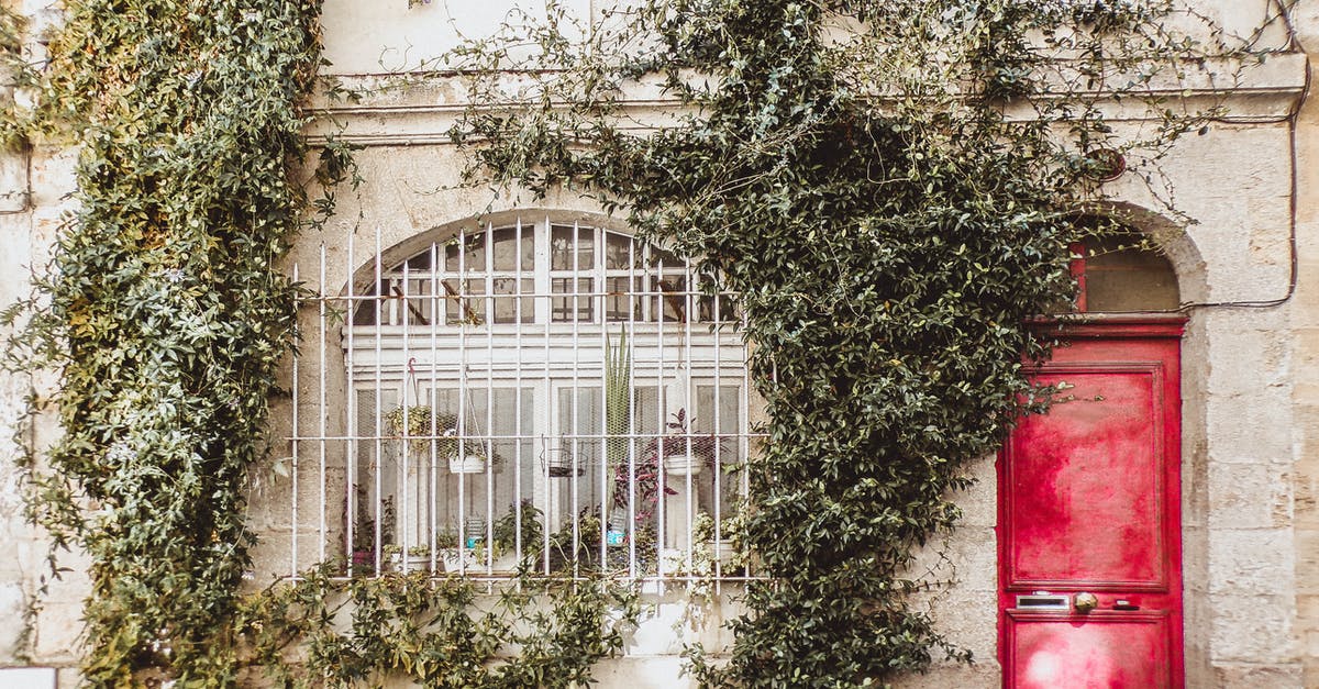 How to install and run Red Alert 2 and Yuri's Revenge on Windows 10? - Climbing Plants on White Wall How to install and run Red Alert 2 and Yuri's Revenge on Windows 10? - Climbing Plants on White Wall