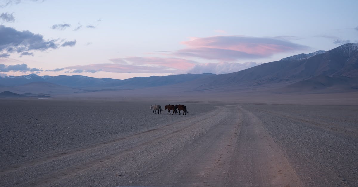 How to keep dwarves inside mountain even when not under attack - View from inside of car of domestic horses passing road and picturesque mountains under cloudy sky at sundown in countryside