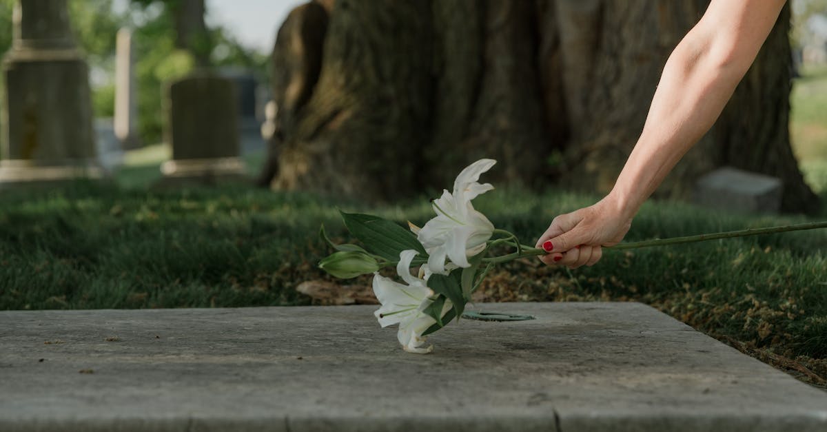 How to keep sentries and templars in the center of death balll? - Photo of a Person's Hand Offering Lily Flowers