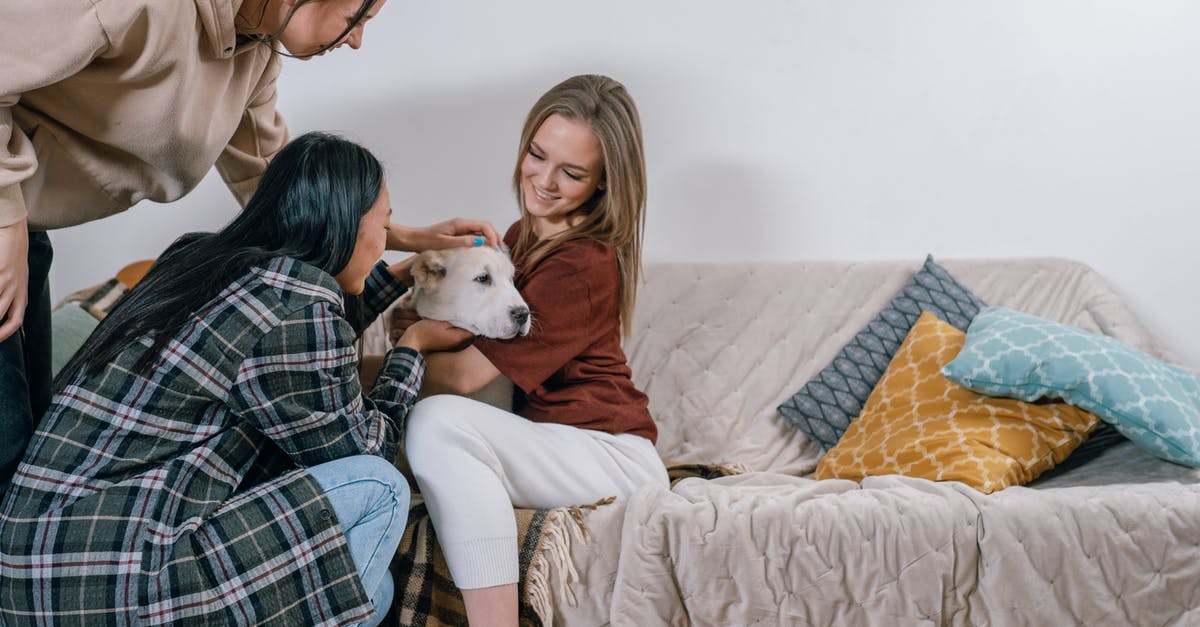 How to kill a witch without touching it? - Free stock photo of adult, affection, bed