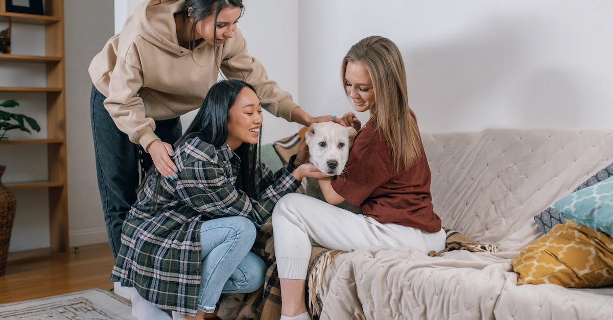 How to kill a witch without touching it? - Free stock photo of adult, affection, bed