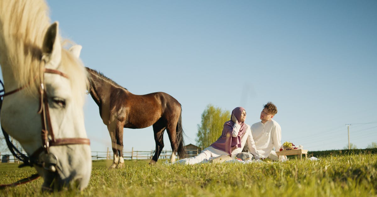 How to kill horses in minecraft 1.6.4 - Free stock photo of arab, arabian, arabic How to kill horses in minecraft 1.6.4 - Free stock photo of arab, arabian, arabic