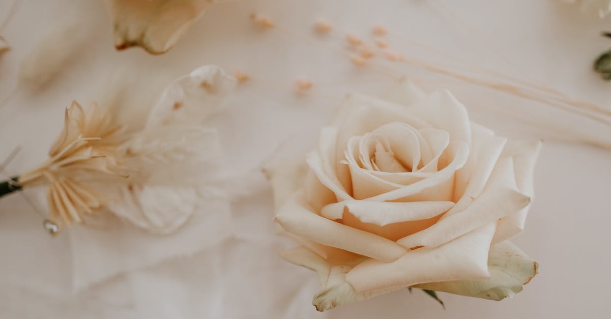 How to know which ceremony to select (5 possible options)? - Elegant roses placed on table during event
