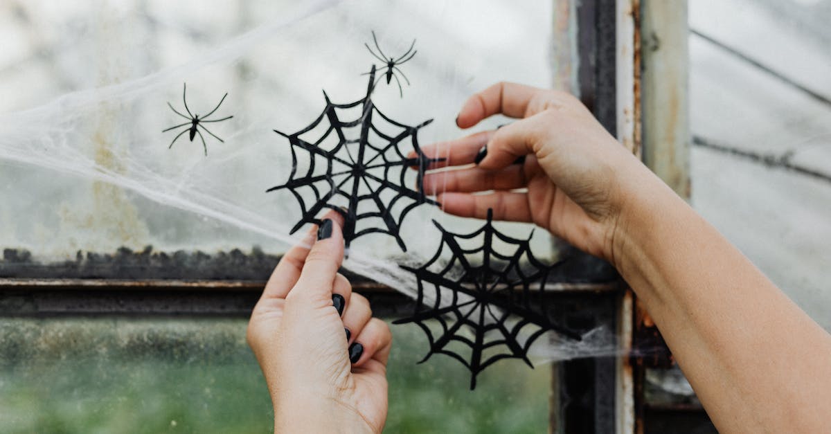 How to lure spiders as Webber without attacking the nest? - Decorating for Halloween How to lure spiders as Webber without attacking the nest? - Decorating for Halloween