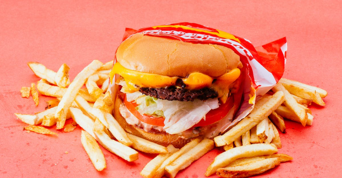 How to make a profitable fast food shop? - Photo of Cheeseburger And French Fries