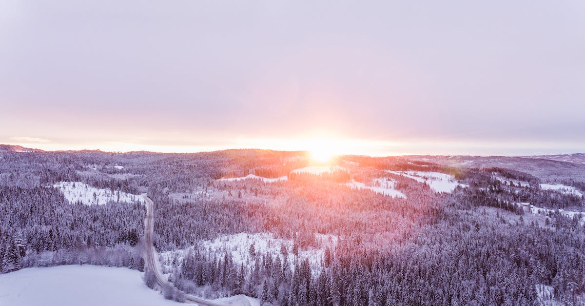 How to make a worldborder that expands every in-game day at dawn? - Aerial Photo of Forest How to make a worldborder that expands every in-game day at dawn? - Aerial Photo of Forest