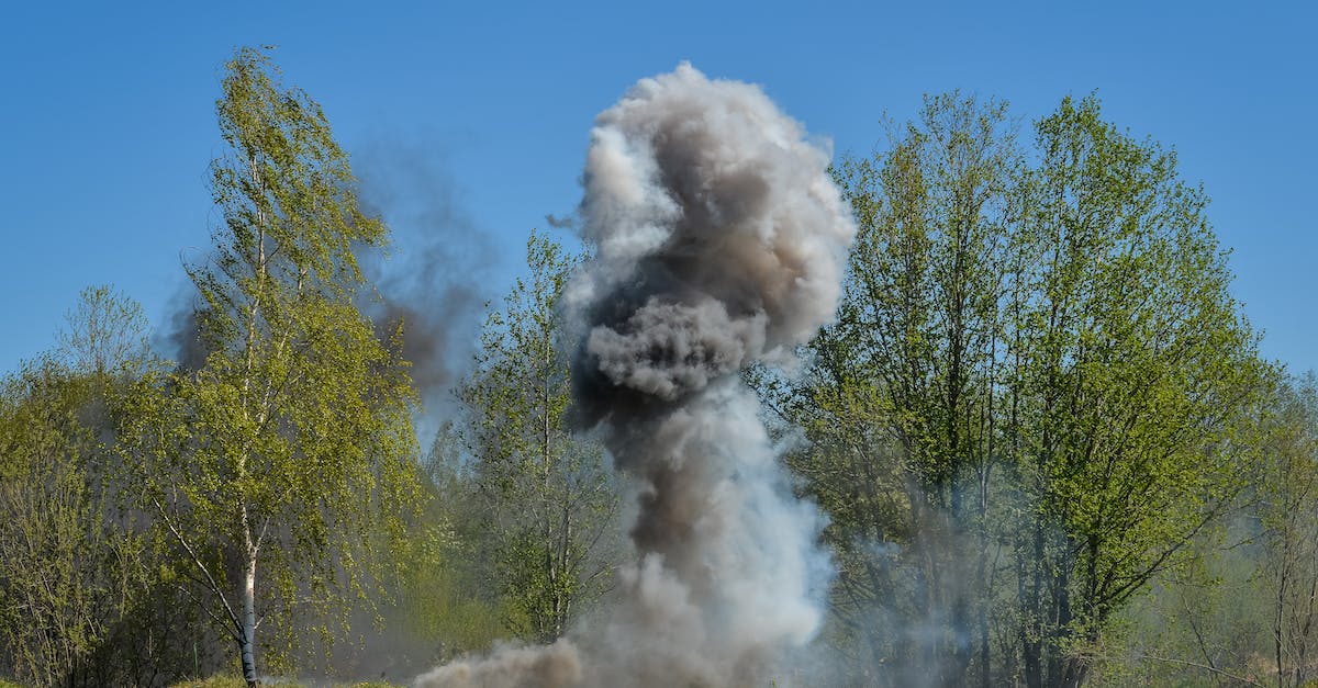 How to make fire disappear after 7 seconds? - Photograph of Smoke Near Trees How to make fire disappear after 7 seconds? - Photograph of Smoke Near Trees