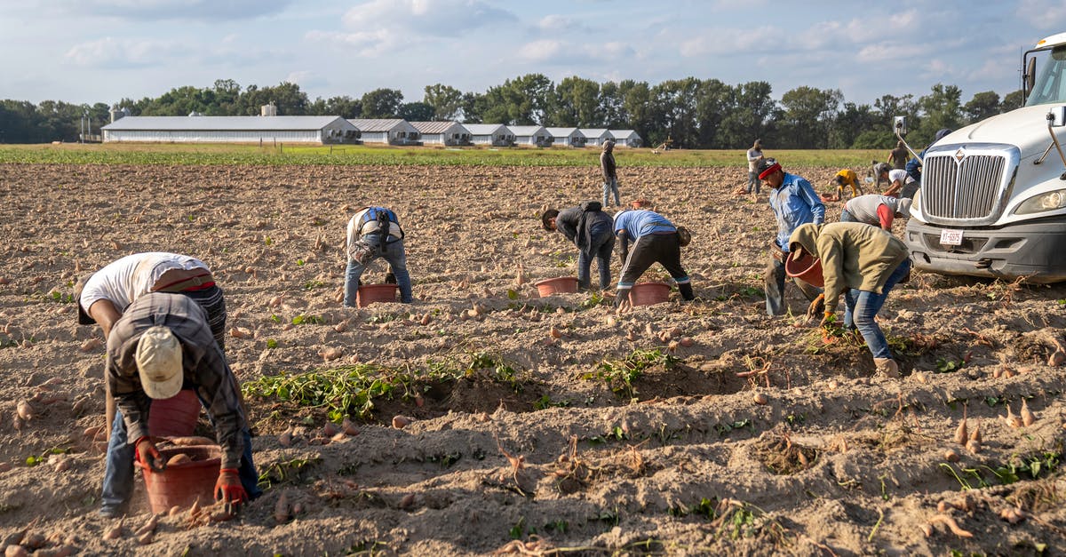 How to make minimap reappear in Farming Sim 2019 on PS4? - Free stock photo of adult, agbiopix, agriculture