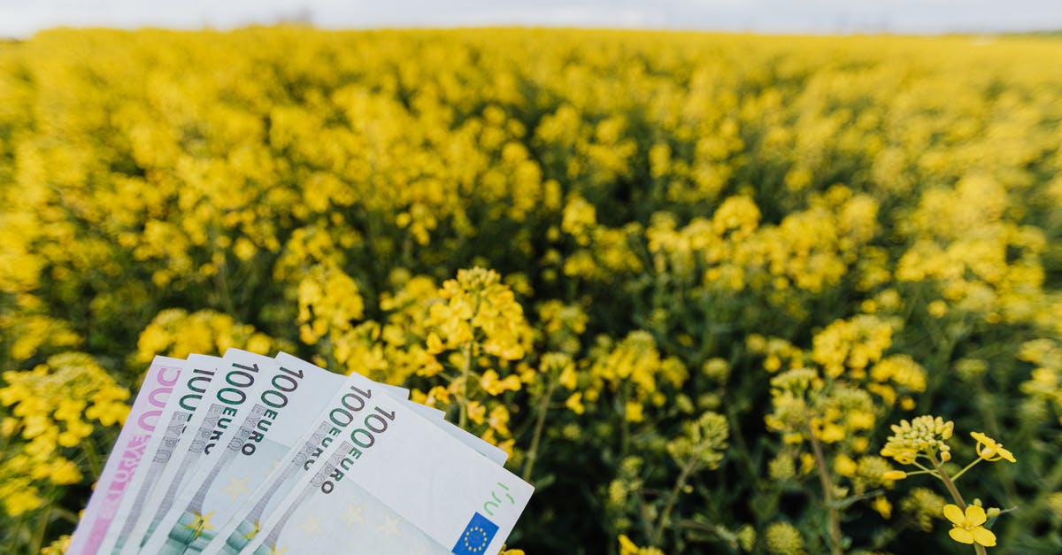 How to make money in stardew valley [closed] - Various Russian paper banknotes located on picturesque view of bright blossom field on cloudy day