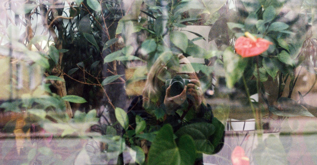 How To Make Prey Not take 'AutoFocus' Windows 10 - Reflection of Woman with Camera in Store Window How To Make Prey Not take 'AutoFocus' Windows 10 - Reflection of Woman with Camera in Store Window