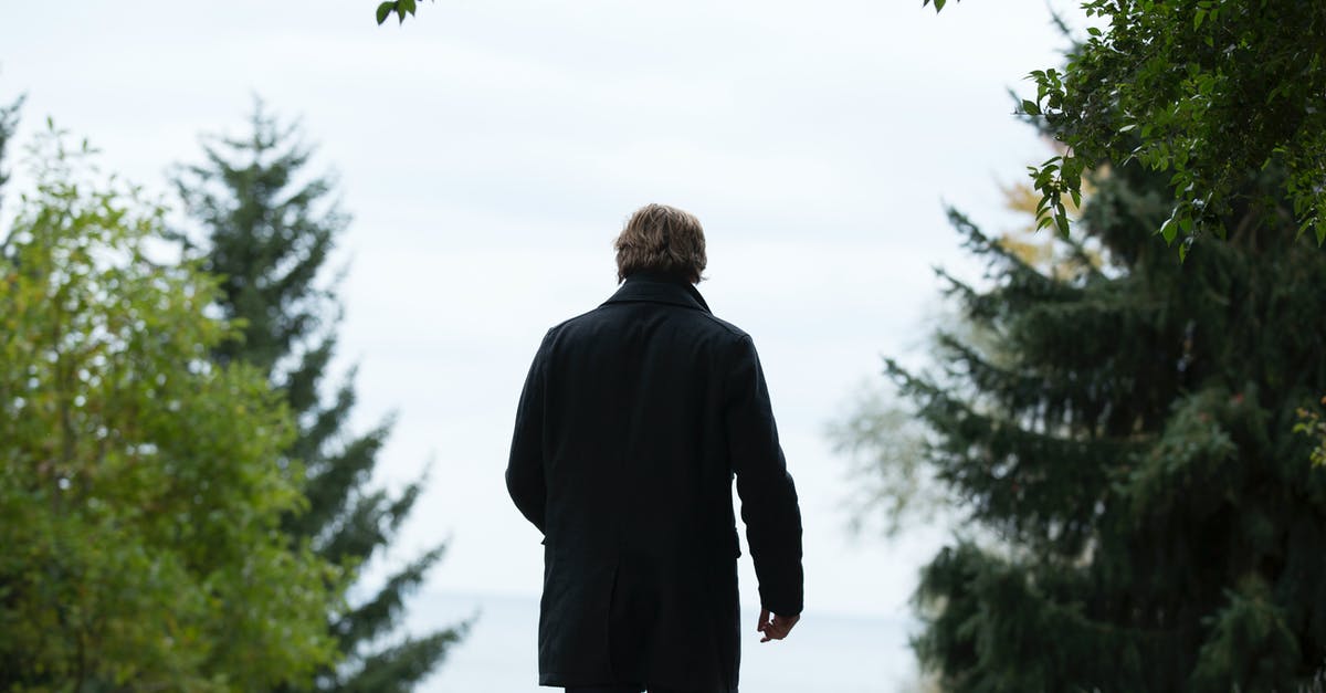 How to maneuver black dragons over curved path in King's Bounty: Armored Princess? - Shallow Focus Photography of Man Wearing Black Coat and Black Pants Standing Beside Green Trees How to maneuver black dragons over curved path in King's Bounty: Armored Princess? - Shallow Focus Photography of Man Wearing Black Coat and Black Pants Standing Beside Green Trees