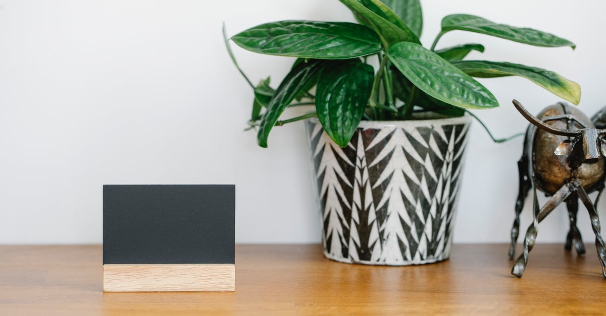 How to name plants and animals? - Blank name card placed on shelf near potted plant and metal cow statuette against gray wall