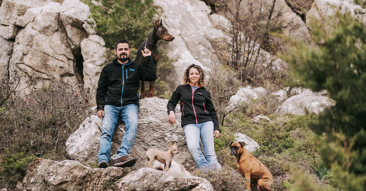 How to name plants and animals? - Man and Woman with Three Dogs, Standing on a Rock