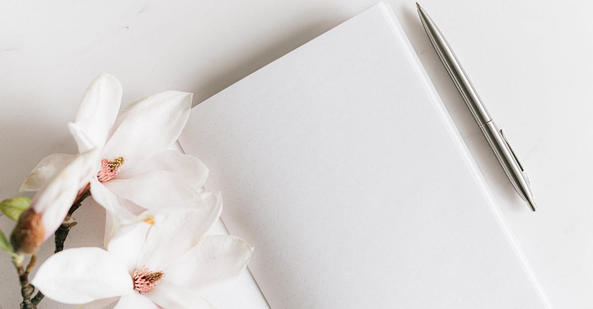 How to open Battlefront2 from a desktrop shortcut? - Top view composition of opened notebook with blank white sheets and stylish silver pen decorated with lush blooming Magnolia twig placed on white background