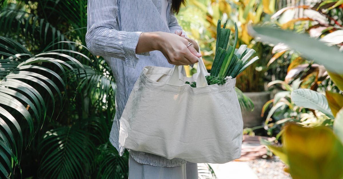 How to pick up a bag in Payday 1? - Crop faceless brunette in casual clothes carrying bag with ripe raw vegetable in sunny abundant garden