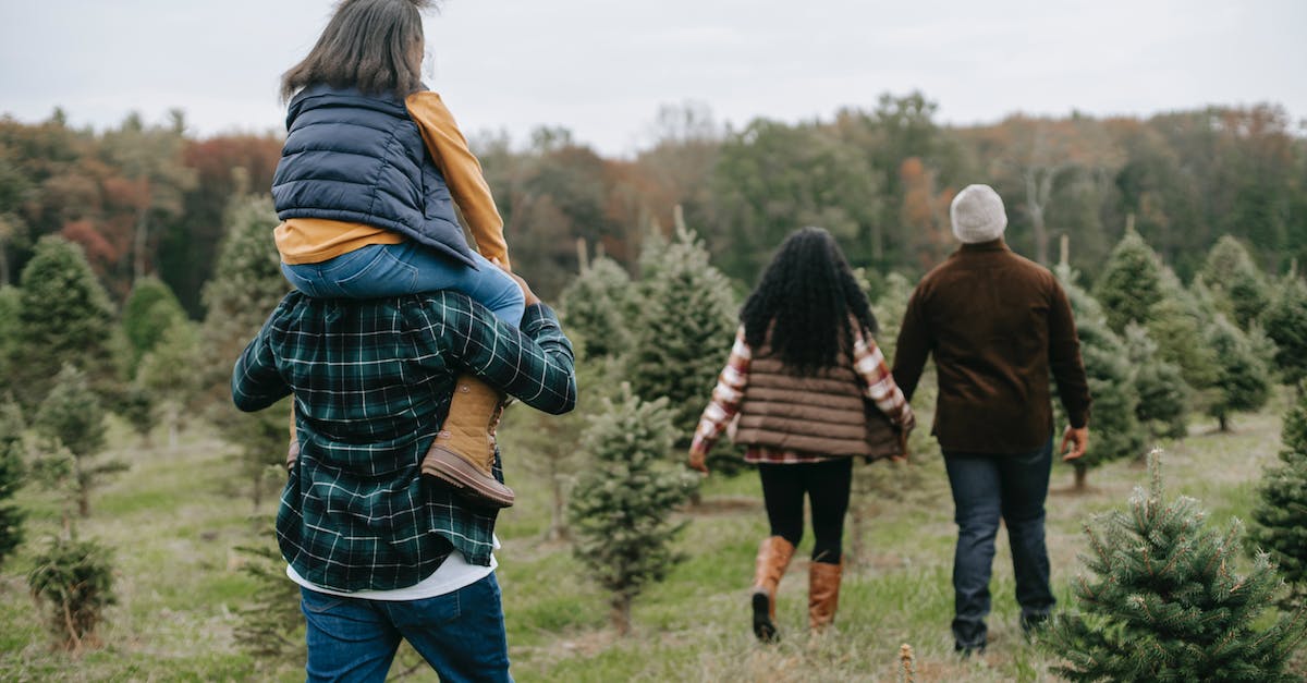 How to pick up the walkie talkie in Walking Dead Season 2: Episode 3? - Family visiting tree farm and walking among pines