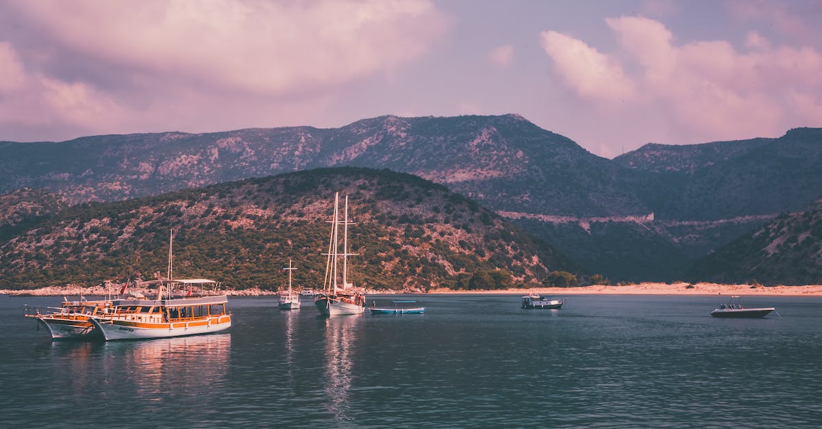 How to profit on vehicles - 