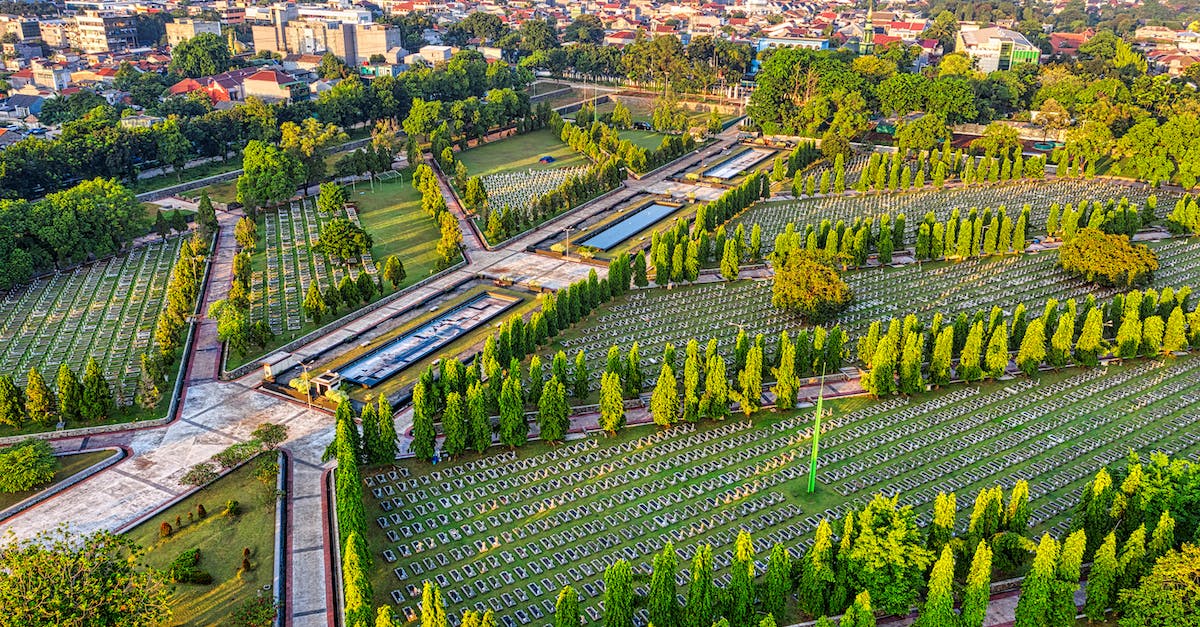 How to properly honor a heroic (but not dead) dwarf - Drone view of main heroes cemetery with gravestones and alley surrounded by green trees located in Kalibata city with residential buildings How to properly honor a heroic (but not dead) dwarf - Drone view of main heroes cemetery with gravestones and alley surrounded by green trees located in Kalibata city with residential buildings
