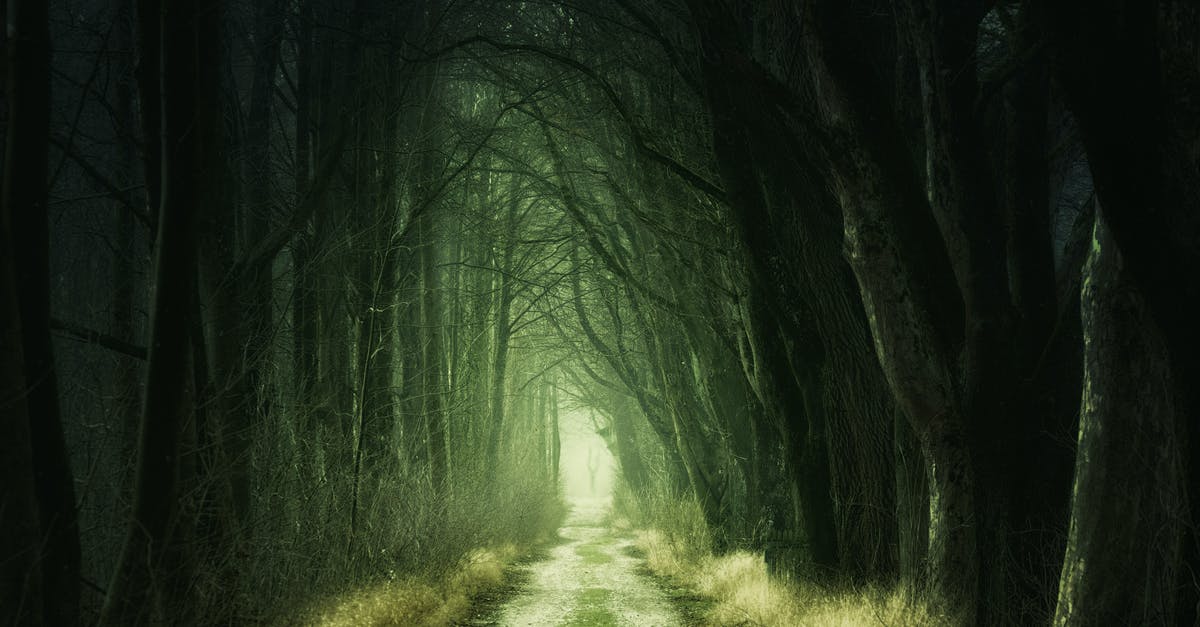 How to "cheat" at stealing in Final Fantasy IX? - Tree Tunnel at Daytime How to "cheat" at stealing in Final Fantasy IX? - Tree Tunnel at Daytime