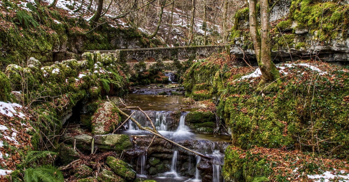 how to rapidly deploy troops in a dispersed area - Cold stream with rapids in autumn forest