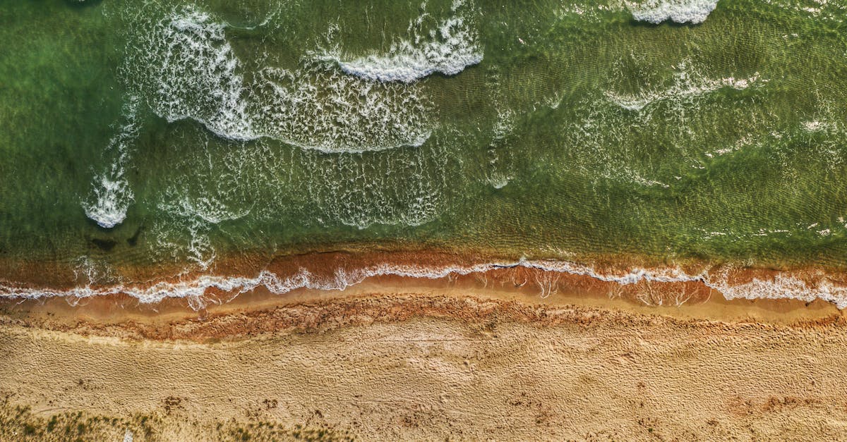 How to reduce sea attrition in Europa Universalis 4 - Aerial View of Green and Brown Water How to reduce sea attrition in Europa Universalis 4 - Aerial View of Green and Brown Water