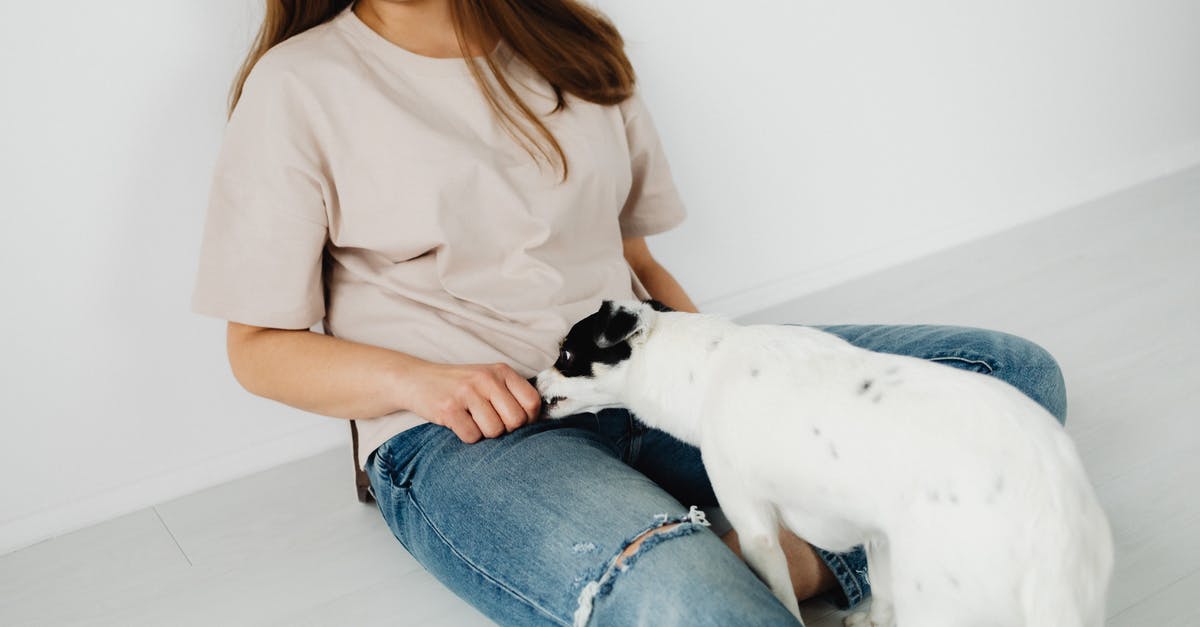 How to replay a previous level? - Free stock photo of cute, dog, eye