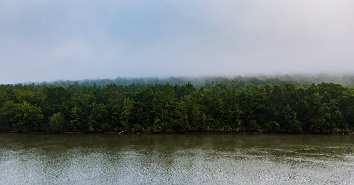 How to reset Enderman drop height without using vines? - Green forest on river shore during rain