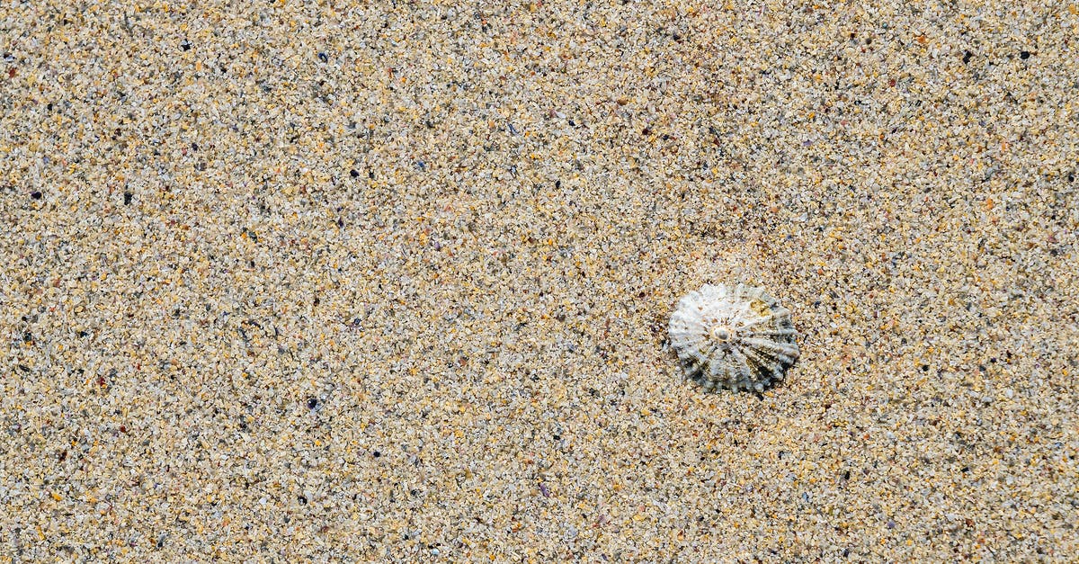 How to retrieve VIP ghost shell in Destiny: The Taken King? - Photo of a Seashell Buried in Sand