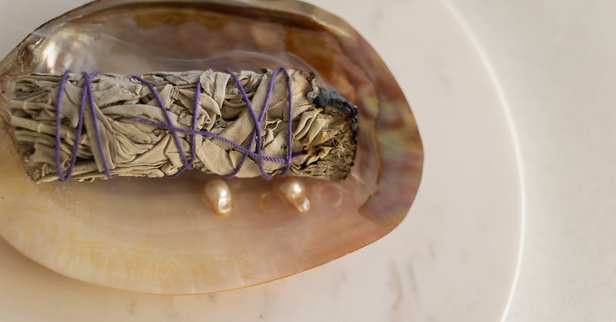 How to retrieve VIP ghost shell in Destiny: The Taken King? - Silver Foil on White Ceramic Plate