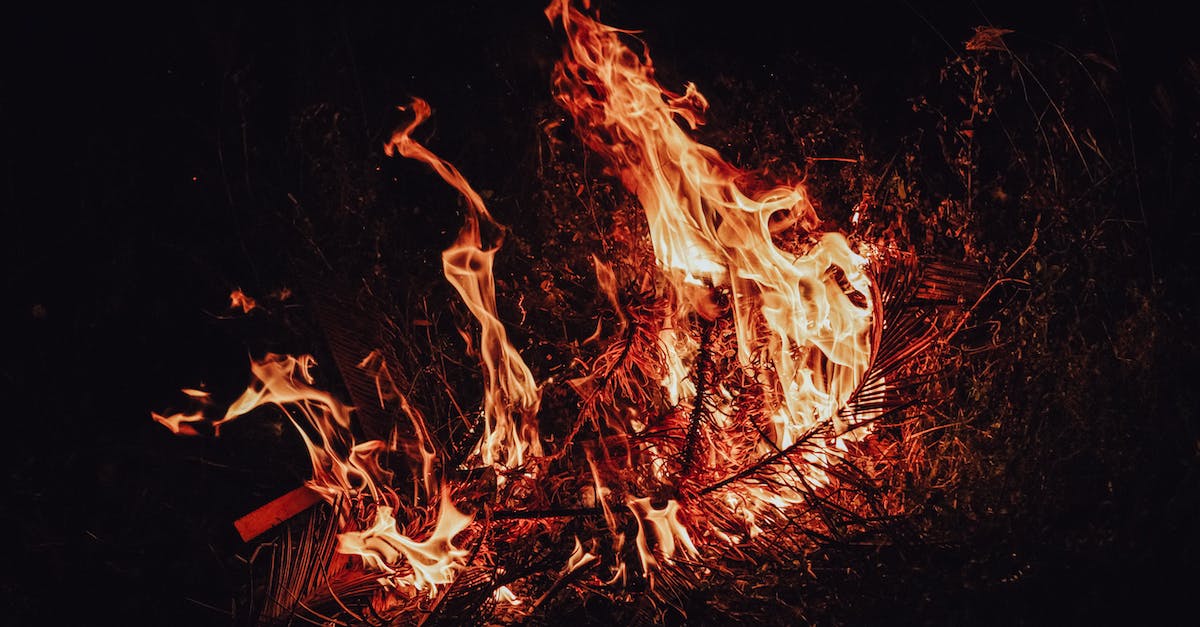 How to reverse the effect of burning an effigy - Twigs burning at dark night