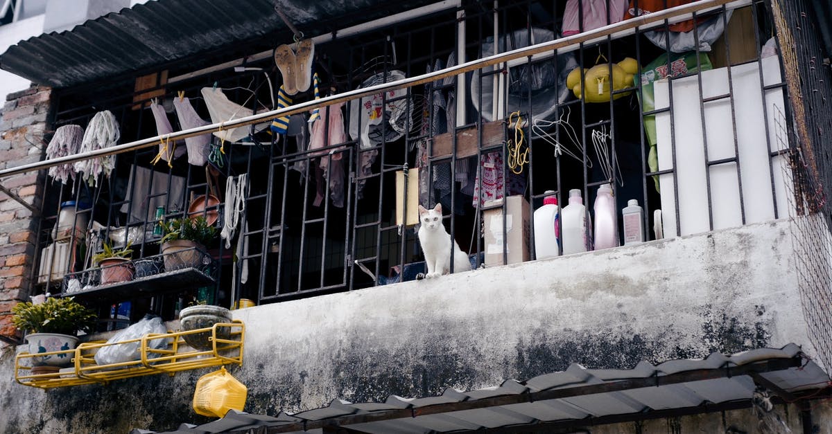 How to right click items repeatedly with redstone/command blocks - White Cat Sitting on a Balcony with Lots of Items 