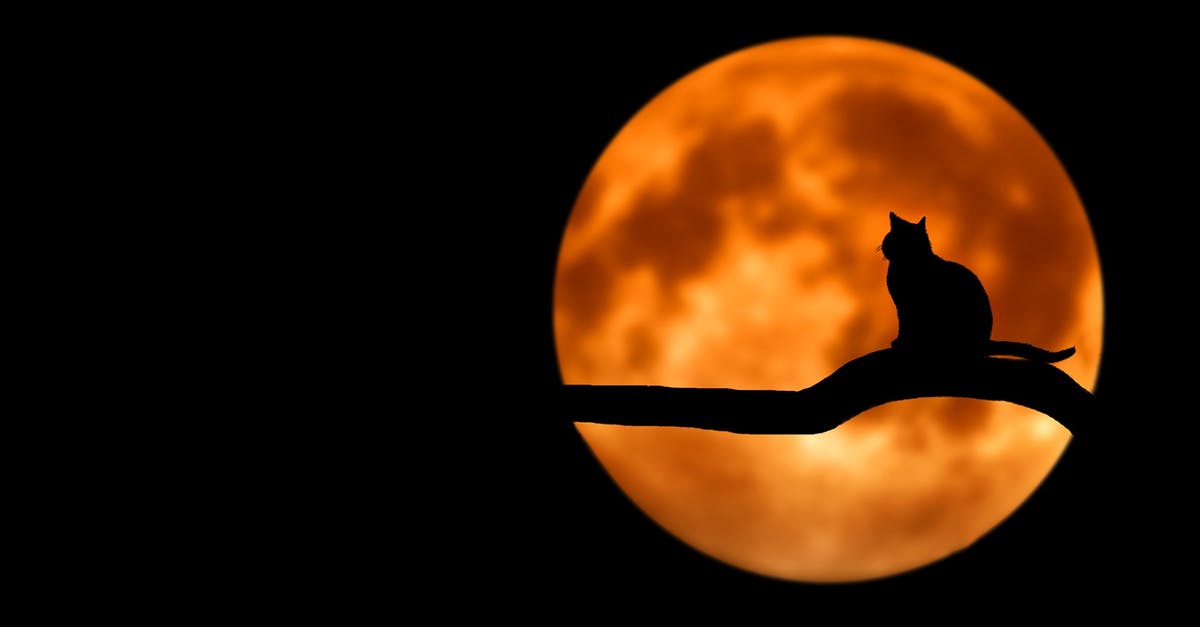 How to run SuperHot at full screen on a Mac? - Photography of Cat at Full Moon
