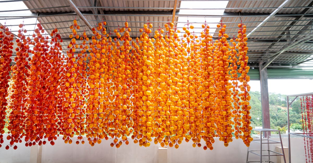 How to shift a whole build WITHOUT MCEdit - Persimmons hanging on rack while drying in construction How to shift a whole build WITHOUT MCEdit - Persimmons hanging on rack while drying in construction