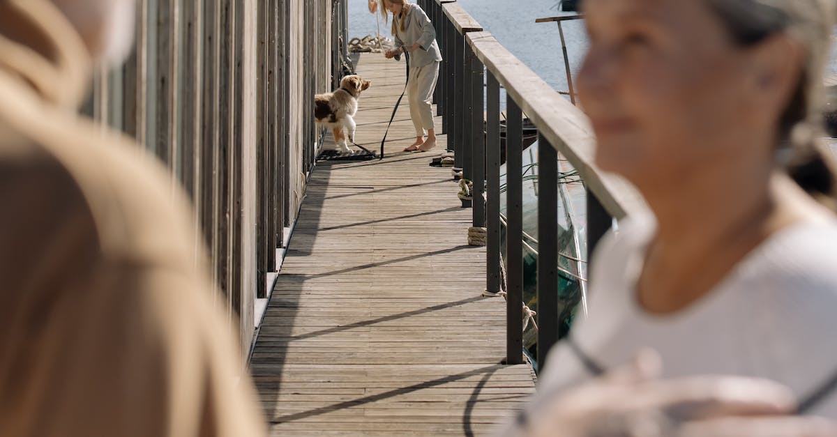 How to skip Decepti0n initiation animation? - Free stock photo of adult, australian shepherd, blur How to skip Decepti0n initiation animation? - Free stock photo of adult, australian shepherd, blur